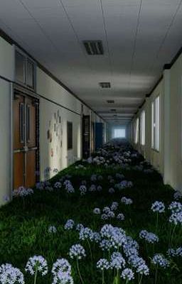 「DuongHieu」- Reveris 