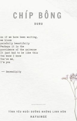 | duru | chíp bông