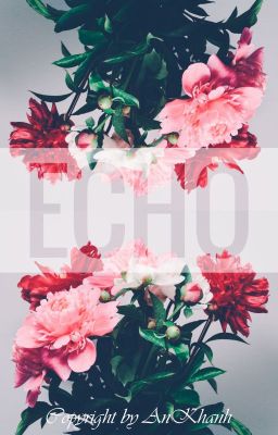 Echo a.k.a Tiếng vọng |copyright by AnKhanh|