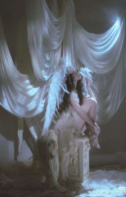 『Edit | AllIsagi | Dự show hẹn hò BL, hóa thành vạn nhân mê』