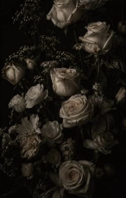 EiMar || Birthday Gift 