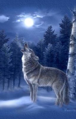 Elemental |  Wolf Roleplay