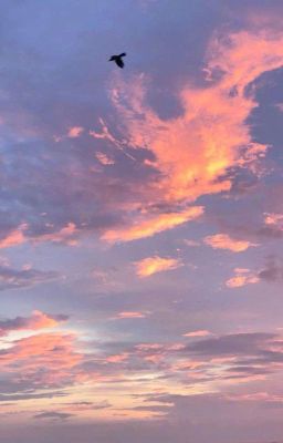 elsuselfcest - áng chiều và rạng mây