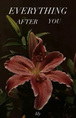 Everything After You [KookMin]