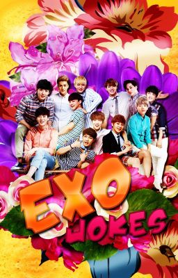 EXO Jokes [Completed]