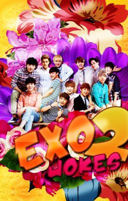 EXO Jokes Part 2 [Completed]