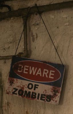 ( EXSH ) Đại Dịch Zombie