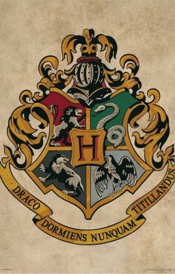 exsh-Hogwarts Và 1001 Cách Suýt Mất Mạng