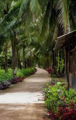 f6 | miệt thứ vi vu.