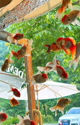 FakeDeft | Tù xì lột đồ 