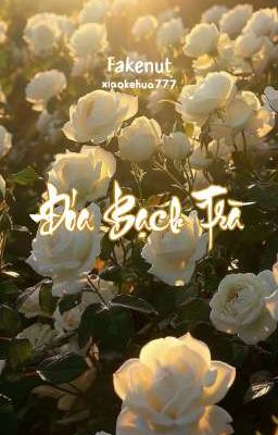 FAKENUT ABO | Đóa Bạch Trà