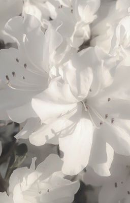 [Fakenut] ONESHOT - Hầu