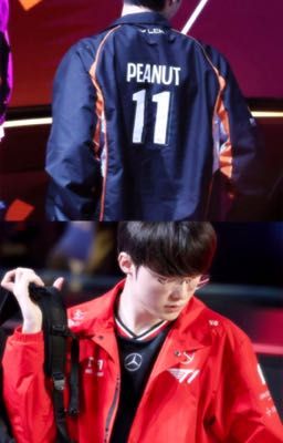 [Fakenut] Tại vì sao?