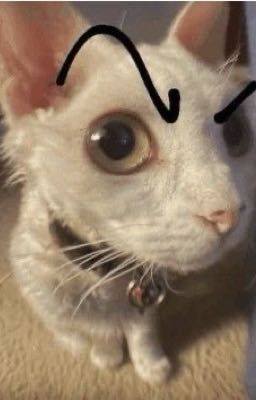 [Fakenut] Thẻ đâu?