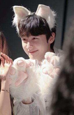 Fakenut |• Tiêu chuẩn kép