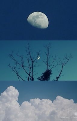 fakenut, trans | the moon is coming to me