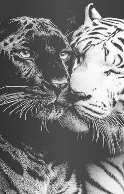 fakenut 𖦹 acquainted