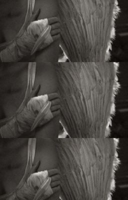 Fallen Angel │Marjames