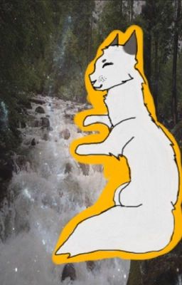 Falling||Warrior Cat Story