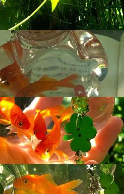 [Fanfic] ATSH 2 | Chung Cư Anh Trai🌌