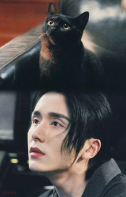 [Fanfic Chu Độ/Chiêu Tố] Nhật ký nuôi mèo của sếp Lạc