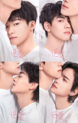 [Fanfic][PN] Nghịch Ái - Revenged Love