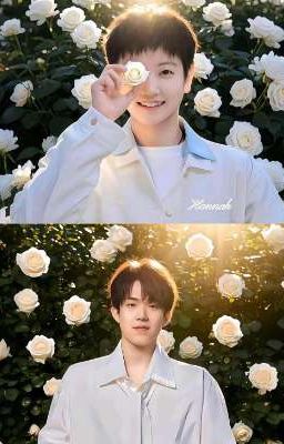 【Fanfic Shatou】Vòng Tròn Định Mệnh