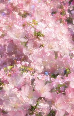 Faonran- Bắt được bé Thóc rồi