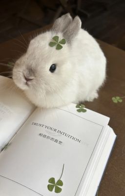 Faran/Fado-Thần Hay Quỷ