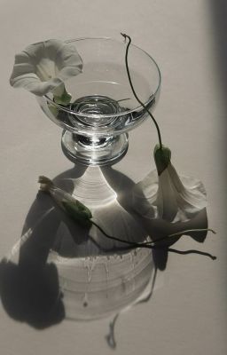 [ faran ] mirror