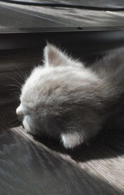 [ faran ] stay, gently