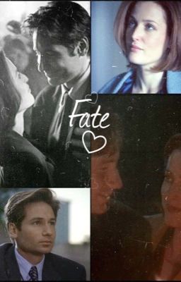 Fate {completed}