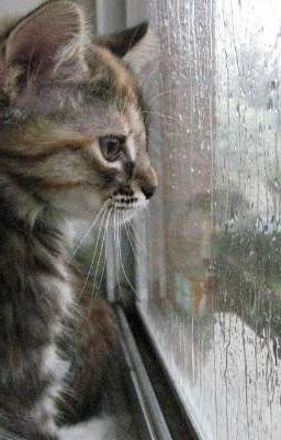 fear - katsuki x izuku 