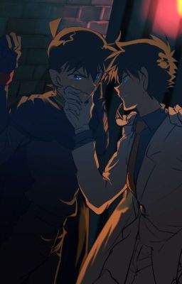 (Fic dịch) oneshot kaishin - BUNNY BOY