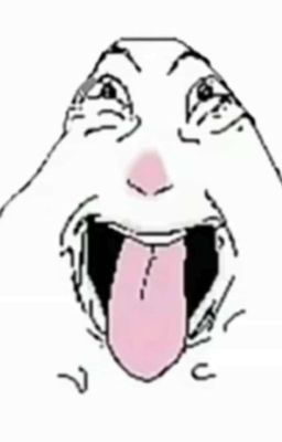 Finding Where the Light Falls