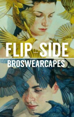 FLIP-SIDE