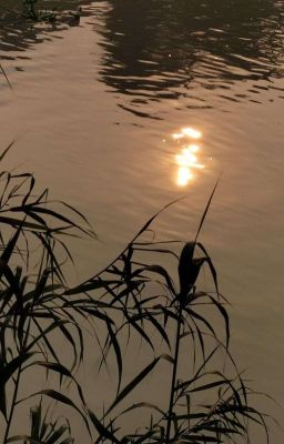[FN]Gian nhà