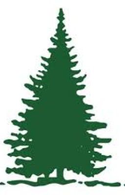 For, Evergreen