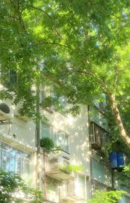 fourthgemini • sao đỏ 