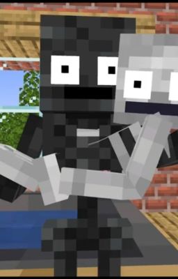 Friendzone // Wither x Skeleton