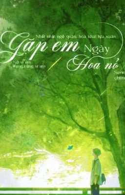 [ Full ] Gặp em ngày hoa nở.
