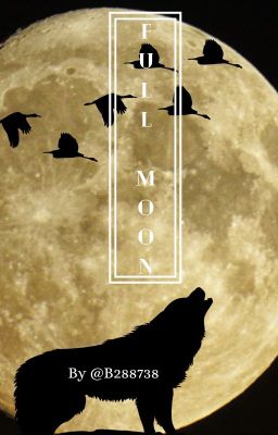 Full moon ˊˎ-