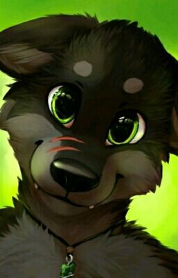 Furry Rp!