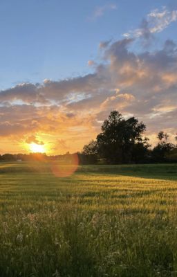 gặp em ở hoàng hôn