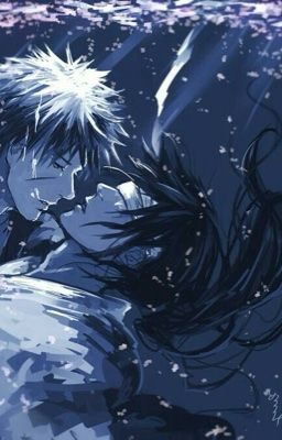 Gặp lại chi lộ