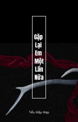 Gặp lại em một lần nữa