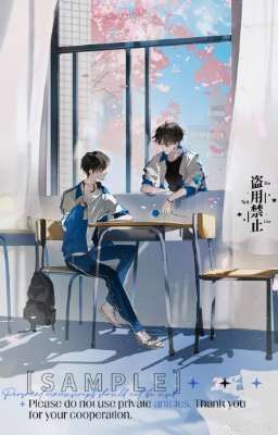 Gấu bông và cú đấm