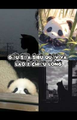 Gấu Sữa Siêu Quậy và Lão Z Chiều Lòng