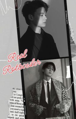 【Gawool】Real Rottweiler