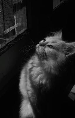 [GCS][DkJunnn] Liệu còn ở bên?